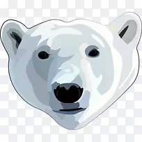 加里的北极熊-北极熊