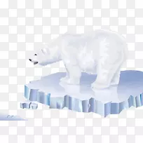 北极熊北极洛斯奥索斯北极熊