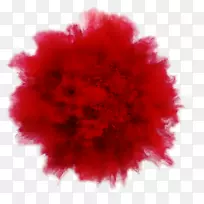 红色爆炸粉末摄影师-彩色飞溅
