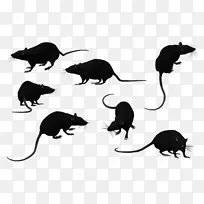 黑鼠动物剪贴画-老鼠