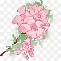 母亲节粉色花夹艺术-梅花