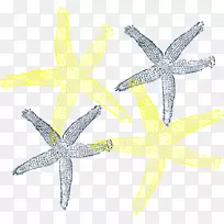 海星电脑图标婚礼剪辑艺术-海星
