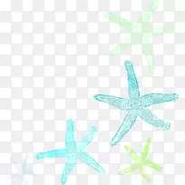 海星电脑图标剪辑艺术-海星