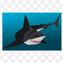鲸鲨画大白鲨鱼-鲨鱼