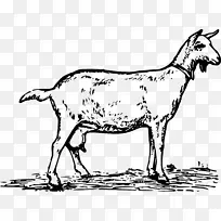 整个山羊手册：食谱，奶酪，肥皂，工艺品&更多的山羊奶酪业余爱好-山羊。