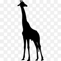 西非长颈鹿剪影剪贴画长颈鹿