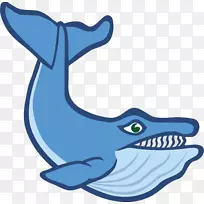 蓝鲸虎鲸剪贴画-鲸鱼