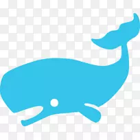 动物鲸目鲸表情海豚-鲸鱼
