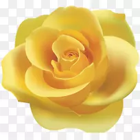 玫瑰黄色剪贴画-黄玫瑰