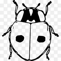 甲虫黑白动物剪贴画-甲虫