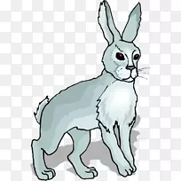 复活节兔子荷兰兔家养兔彼得兔