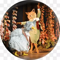 彼得兔子的故事布卡穆拉果园大厅芭蕾舞-彼得兔子