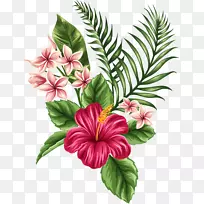 热带花卉绘画艺术-热带