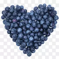 蓝莓心果抗氧化剂蓝莓