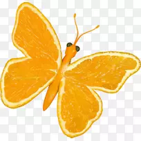蝴蝶橙柑桔片艺术-葡萄柚
