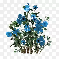 蓝色剪贴画-蓝色花