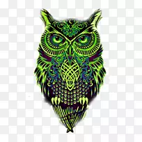 猫头鹰绘画艺术博物馆素描-猫头鹰