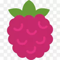 电脑图标raspberry pi食品-覆盆子