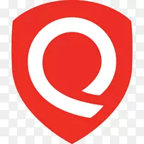 Qualys徽标漏洞管理业务-博客