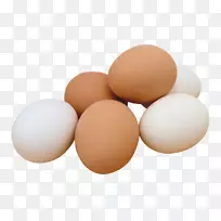鸡煎蛋家禽养殖剪贴画-鸡蛋