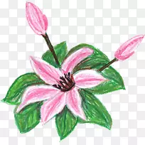 花蜡笔剪贴画-蜡笔
