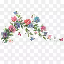 花卉设计剪贴画-水彩画白花