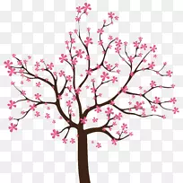 春树剪贴画-樱花
