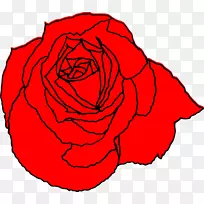 玫瑰画片艺术.玫瑰
