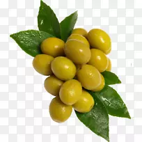橄榄油水果橄榄