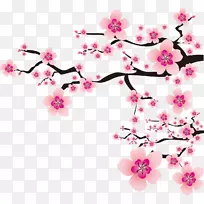 梅花剪贴画-樱花