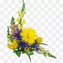 菊花花束浅-菊花