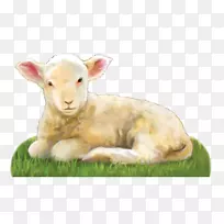 羊祈祷剪贴画-羔羊
