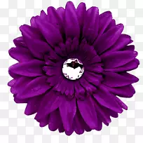 超长花雏菊紫花普通雏菊剪贴画-紫色