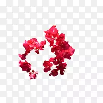 红花剪贴画-红花
