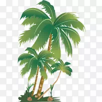 槟榔科植物槟榔棕榈肥料椰子树