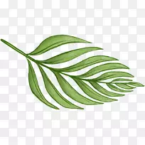 巴恩斯利蕨类植物-热带叶