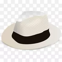 巴拿马帽子帽夹艺术-帽子