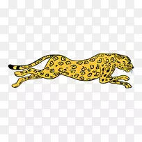 猎豹狮子如何画大猫