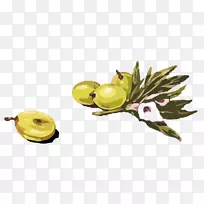 鸡尾酒马提尼橄榄夹艺术-橄榄枝