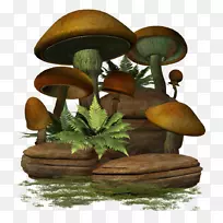 食用菌普通蘑菇剪贴画-蘑菇
