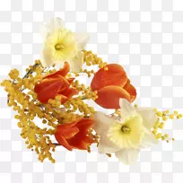 花束桌面壁纸花卉设计手机-含羞草