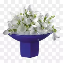 华兰花茉莉花白玫瑰雪滴