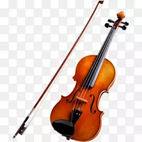 弦乐器小提琴乐器大提琴小提琴