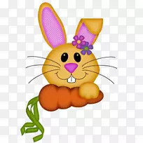 复活节兔子纸制复活节彩蛋-帕斯科