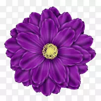 花束紫色剪贴画-紫花