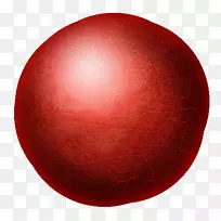 球体红板球圆头