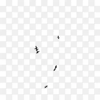 鸟黑白单色摄影.伤痕