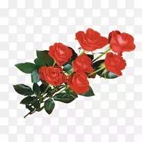 桌面壁纸粉饰-红玫瑰
