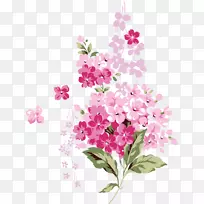 粉红花卉剪贴画.花卉