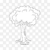 线条艺术木本植物黑白绘画树曼陀罗